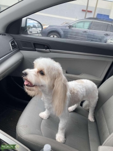 Peaches wants to be a first time mother Listing Image
