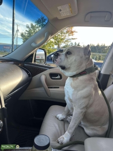 Looking for a female! Listing Image