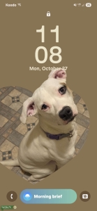 Looking for boyfriend  Listing Image