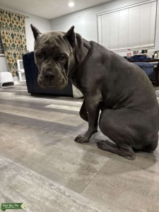 New Listing Image