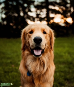 Handsome boy Gunnar Listing Image