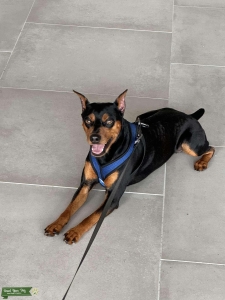My Beautiful Boy Listing Image