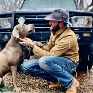 8yo AKC Hunt/Obedience Lab Stud Listing Image