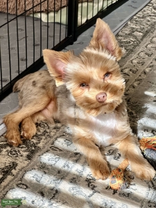 Handsome boy  Listing Image