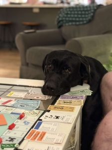 Loving Black Lab Listing Image
