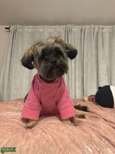 Looking for a mate for my Sophie Listing Image
