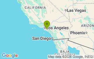 Google Map Image for Tyson