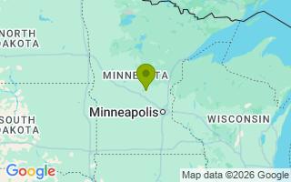 Google Map Image for Grizzly Bear