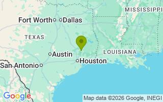 Google Map Image for Nico