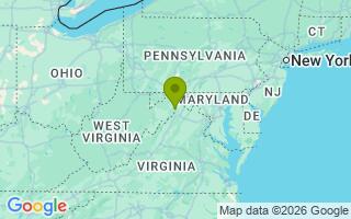 Google Map Image for Bear