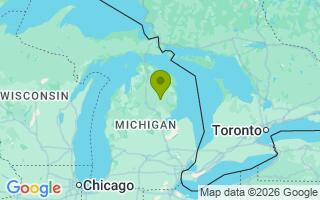 Google Map Image for Moose