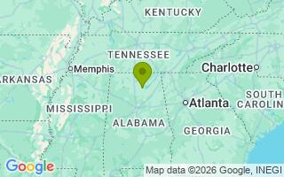 Google Map Image for Chief