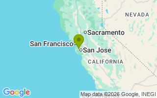 Google Map Image for Dixie Rose