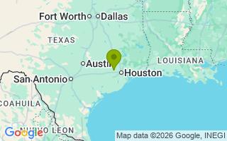 Google Map Image for Bear