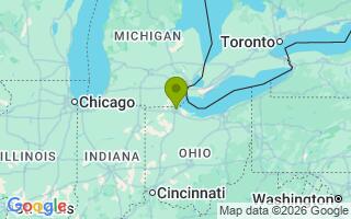 Google Map Image for Bear