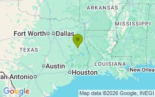 Google Map Image for Nala