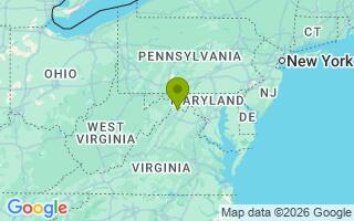 Google Map Image for Ace 