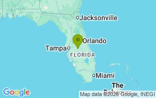 Google Map Image for Bear