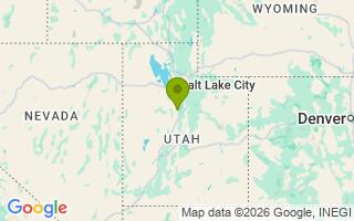 Google Map Image for Bodie