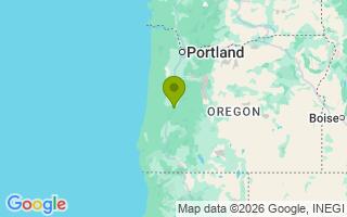 Google Map Image for Dakine's Afanasy Aleksei