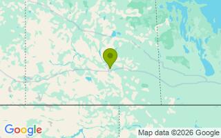 Google Map Image for Tiger