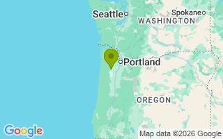 Google Map Image for Django