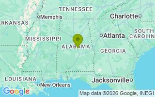 Google Map Image for Adaya