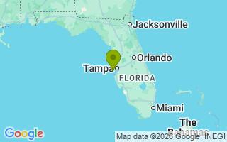 Google Map Image for Bully