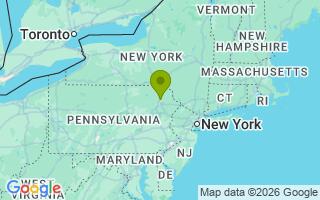 Google Map Image for Rorschach 