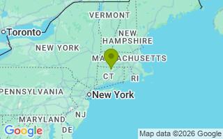 Google Map Image for Goose