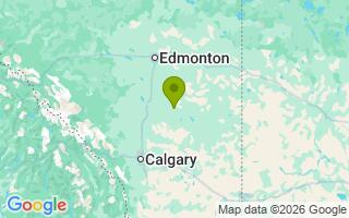 Google Map Image for Willie