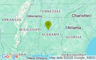 Google Map Image for Bama