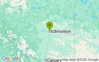 Google Map Image for Syrup