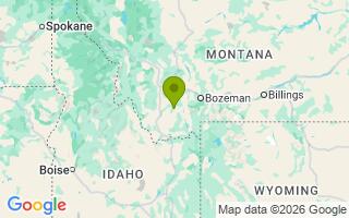 Google Map Image for Moose