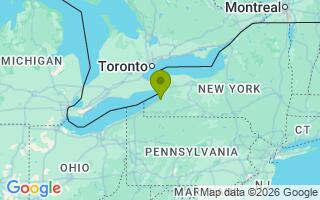 Google Map Image for Bear