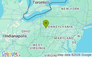 Google Map Image for Goose