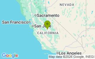 Google Map Image for Jack