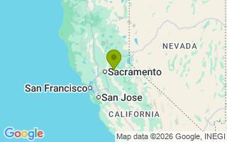 Google Map Image for Papi