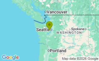 Google Map Image for Noodle
