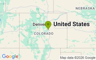 Google Map Image for Levi