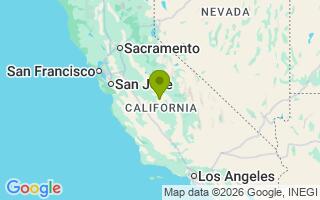 Google Map Image for Loki 