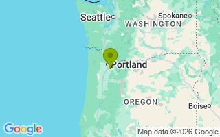 Google Map Image for Shelby 