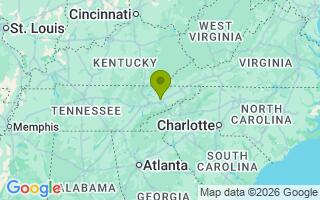 Google Map Image for Winston
