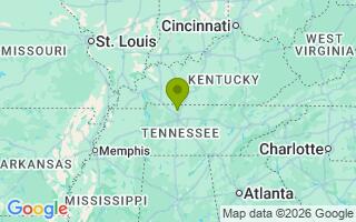 Google Map Image for Copper
