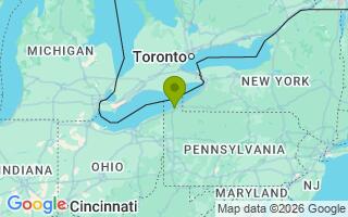 Google Map Image for Olli