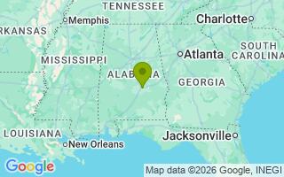 Google Map Image for Capone 