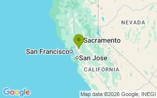 Google Map Image for Simba