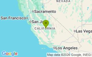 Google Map Image for Willie