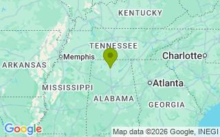 Google Map Image for Atticus