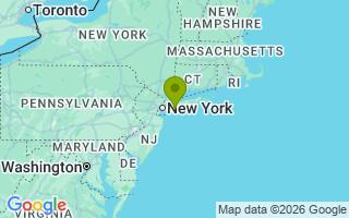 Google Map Image for Tyson